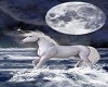 unicorn with moon