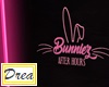 Bunnies Sign