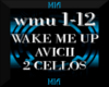 [M]WAKE ME UP- 2 CELLOS