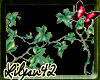 [L]Background of ivy 2