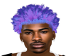 LT BLUE AND PUR HAIR M