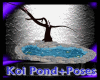 Koi Pond + Poses