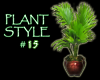 (IKY2) PLANT STYLE #15