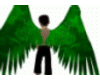 Angel Green wings M/F