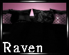 |R| Kitten Floor Pillows