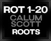 Calum Scott Roots