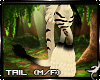 !F:Kichi: Tail 1