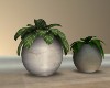 [K] Double Plant Pot