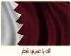 qatar gims 2006