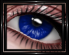 !T! Eyes | Nocturne B