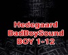 HedegaardBadBoySound