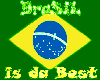 (FZ) Brazil Sticker