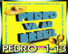 *R Pedro Va Au Bresil +D