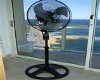 Animated Standing Fan