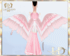 angel wings