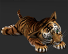 Safari Tiger Cub