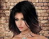 Black-Marron Hair
