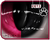 [Pets] Ziro | eyes 2-T