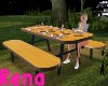 Outdoor Picnic Table