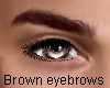 Brown eyebrows - M