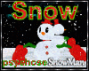 SnowMan DjLight Snow 1/9