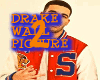 DRAKE WALL PICTURE 2
