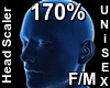 F/M Head Scaler 170%