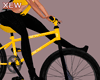 Bike Ride - 9 poses