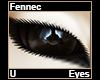 Fennec Eyes