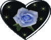 Black Heart-Blue Rose