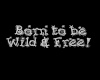 eKD  Born to be Wild2