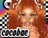 spice limited