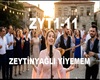 ZEYTINYAGLI YIYEMEM AMAN