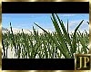 [JP] Animated Grass