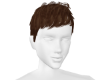 HAIR VZ32GDH
