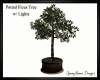 Potted Ficus Tree w/Ligh