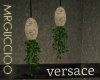 versace Hanging plant  1