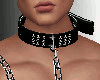 SL Hers Collar&Leash