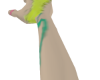 SHARPIETATS