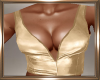 Gold Leather Top