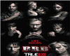 [KDM]True Blood BRB Box1