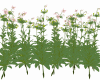 Flowers B5