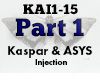 Kaspar ASYS Injection 1