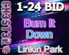 Burn It Down [LP]
