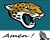Jaguars NFL Jersey (F)