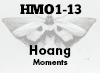 Hoang Moments ft. Rynn