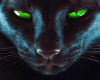 Black Cat With Green Eye