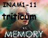 triticum-in a memory