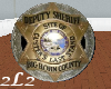 DEPUTY SHERIFF BADGE 2D