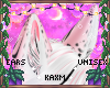 ꨄBlossom Fur Earsꨄ